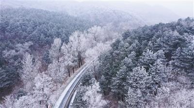 奏响时代强音  凝聚奋进力量
